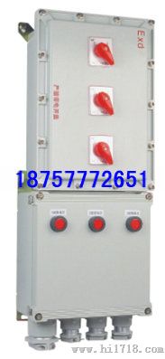 BXD51-D防爆动力配电箱动力检修