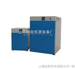 DHP系列电热恒温培养箱 上海恒温培养箱