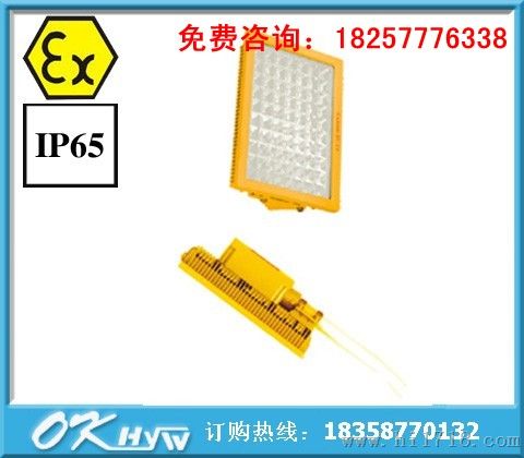 BLC8610防爆道路灯