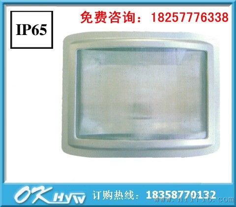 NSC9720防眩通路灯