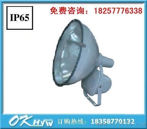 ZT6900防水防尘防震投光灯
