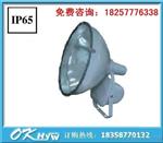ZT6900防水防尘防震投光灯