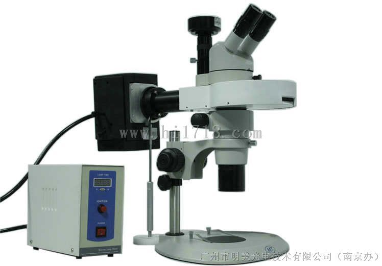 苏州极高性价比体视荧光显微镜MZX80