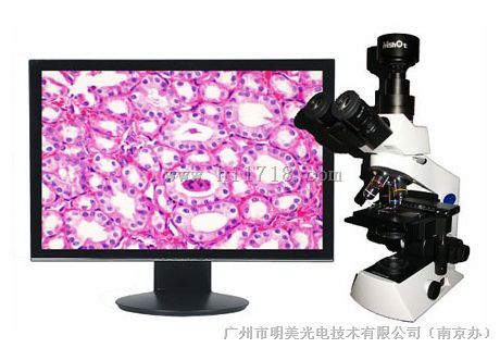南京MSHOT进口数码显微镜ME21