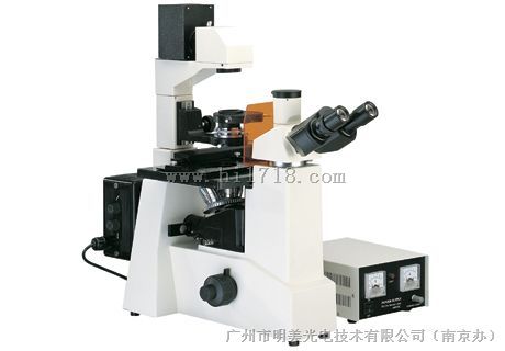 上海OLYMPUS BX51荧光显微镜