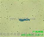 上海OLYMPUS金相显微镜BX51M