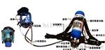 RHZKF6.8L背负自给式空气呼吸器