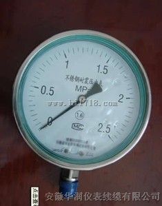 耐震压力表YTN-100