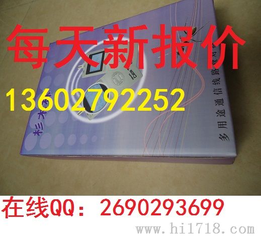 杉木林巡线蚁