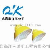 海洋王BLC8600防爆道路灯
