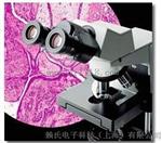 Olympus显微镜CX31(中国总代理）