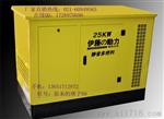 25千瓦功率燃气发电机 节能型燃气发电机价格