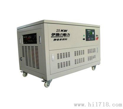25KW双燃料别墅专用I汽油发电机