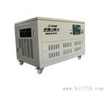 25KW双燃料别墅专用i汽油发电机