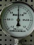 供应YE-100系列膜盒压力表  结构 测量原理  江苏润仪仪表