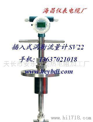 插入式流量计