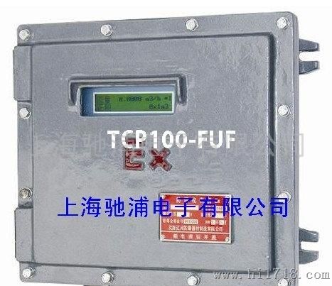 CHIPTCP100-FUF防爆式超声波流量计