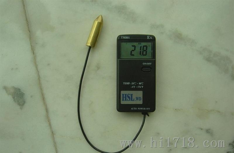 防爆便携式电子测温仪 温度仪 （TM801 油罐温度采集处理器）