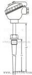 固定螺纹锥形式热电偶
