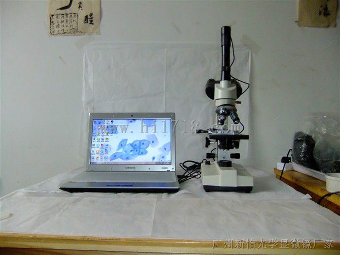 XSP-35单目显微镜