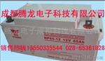 NP65-12(12V65AH)YUASA