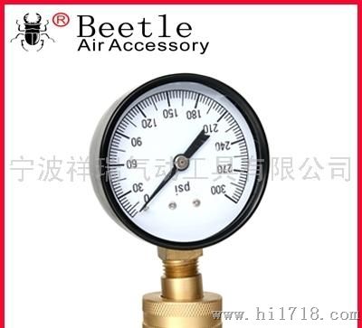 beetle1401/1402/1403压力表