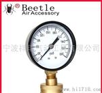 beetle1401/1402/1403压力表