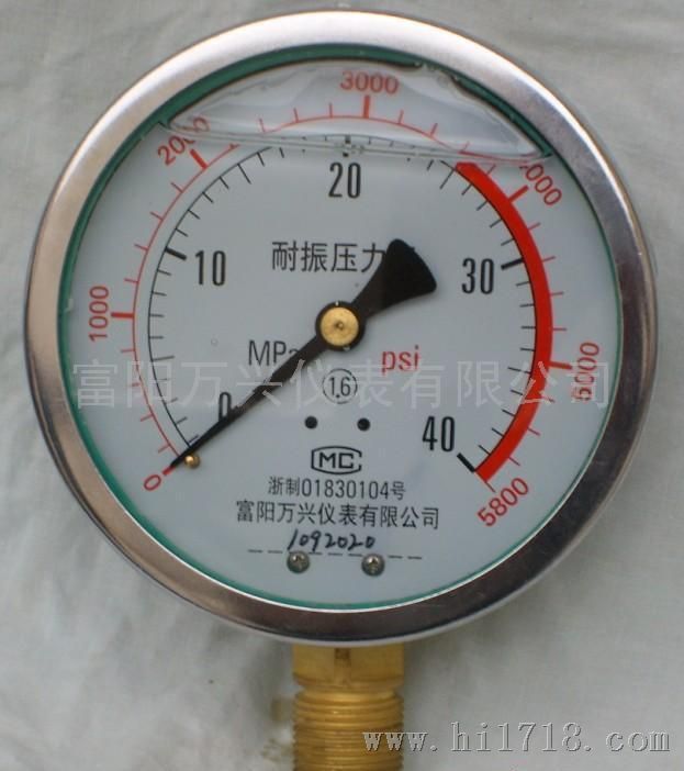 YN-100耐震压力表