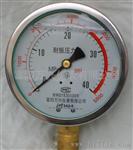 YN-100耐震压力表