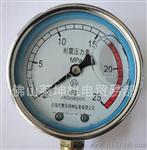 (无锡惠华)  YN-60   耐震充油压力表