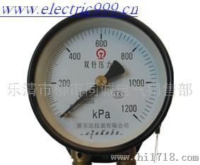 双针双管压力表，YZS-102（MPa 全规