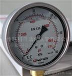 （新）德国DMASS进口液压表