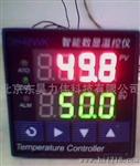 DH48WK温控仪