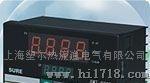 上海塑尔热流道电气有限公司XMT-9000型温控仪表