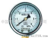 华荣电 气集团YTN-100系列耐震压力表