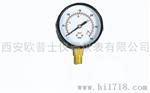 西安仪表厂常规普通压力表