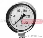YTF-60,YTF-100,TTF-150,不锈钢压力表,耐酸压力表