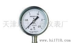 YTH-100耐高温压力表.