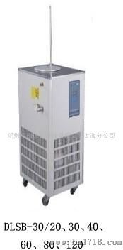 现货供应DLSB-30L/-30(10升）低温冷却液循环泵