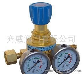 DQJ2501-6D氮气减压器