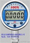 ACD-2C存储式数字压力表