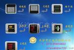PS1008-2S1P多功能电力仪表|温州华能仪表（全国产品）