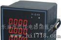 PD194电力仪表（可编程、可带485、可带模拟量变送）