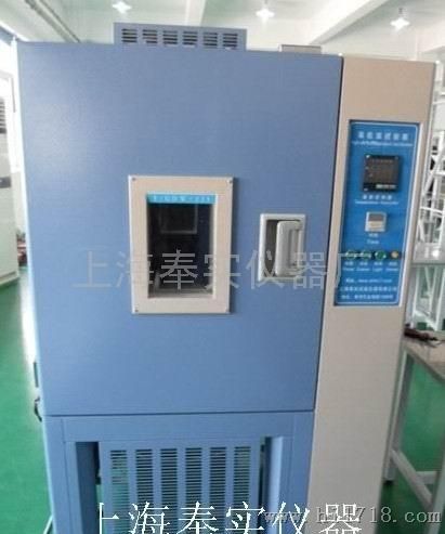 F/GDW225上海奉实高低温试验箱