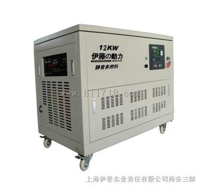 静音箱柜式12KW多燃料汽油发电机|厂家直销