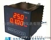 工业电导率仪CON5103-H型