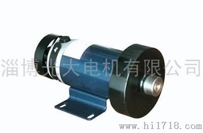 ZYP系列磁直流跑步电动机