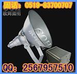 外场防震防水投光灯，NTC9210，防震投光灯