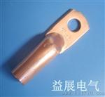 DTG管压铜鼻子,DTG系列铜鼻子,