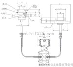 平法兰(RFW)远传差压变送器